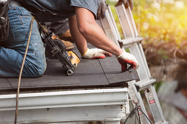 Best Roof Leak Repair  in New Mford, IL